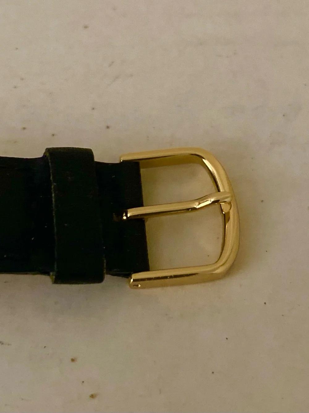 Timex Unisex  Indiglo Easy Reader Gold Case Watch with Black Strap